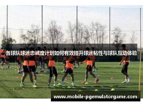各球队球迷忠诚度计划如何有效提升球迷粘性与球队互动体验