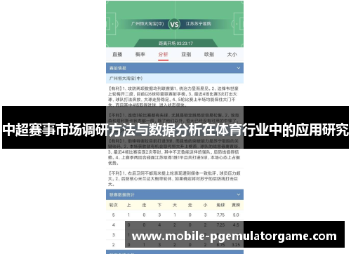 中超赛事市场调研方法与数据分析在体育行业中的应用研究