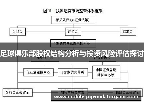 足球俱乐部股权结构分析与投资风险评估探讨