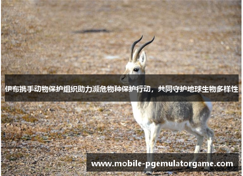 伊布携手动物保护组织助力濒危物种保护行动，共同守护地球生物多样性