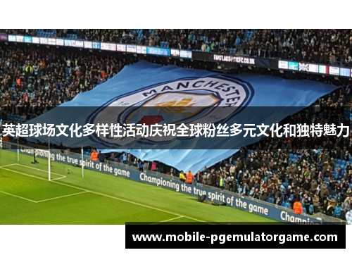 英超球场文化多样性活动庆祝全球粉丝多元文化和独特魅力