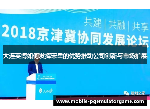 大连英博如何发挥宋岳的优势推动公司创新与市场扩展