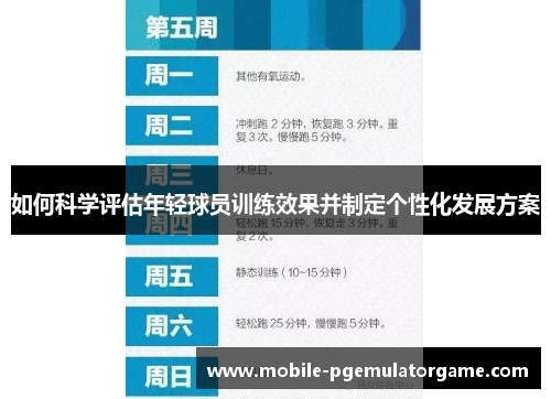 如何科学评估年轻球员训练效果并制定个性化发展方案