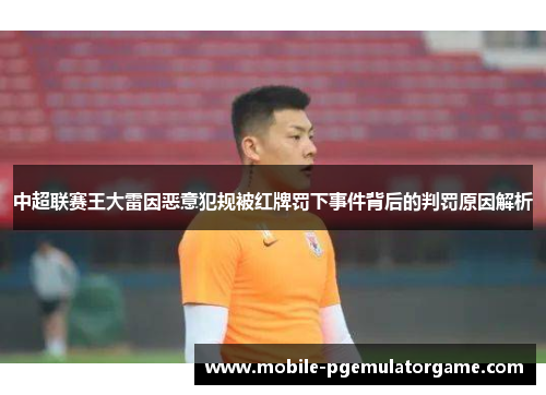 中超联赛王大雷因恶意犯规被红牌罚下事件背后的判罚原因解析