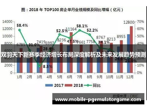 双羽天下新赛季经济增长布局深度解析及未来发展趋势预测
