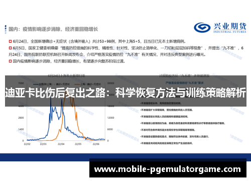 迪亚卡比伤后复出之路：科学恢复方法与训练策略解析