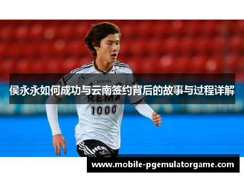 侯永永如何成功与云南签约背后的故事与过程详解