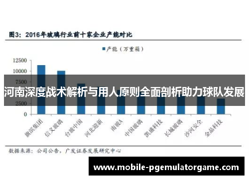 河南深度战术解析与用人原则全面剖析助力球队发展