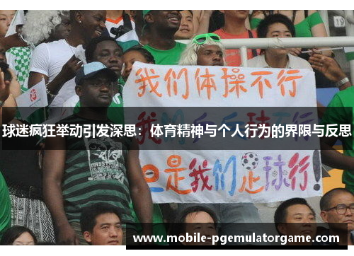 球迷疯狂举动引发深思：体育精神与个人行为的界限与反思