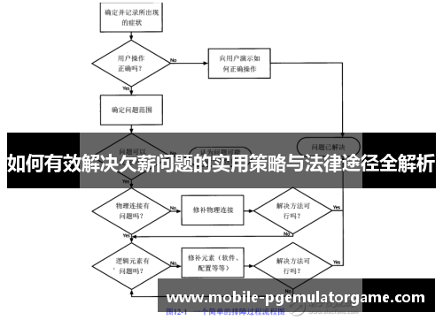 如何有效解决欠薪问题的实用策略与法律途径全解析