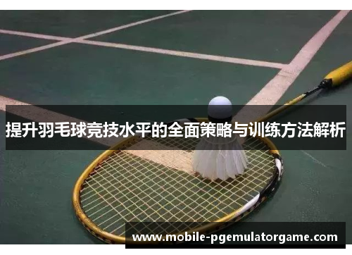 提升羽毛球竞技水平的全面策略与训练方法解析
