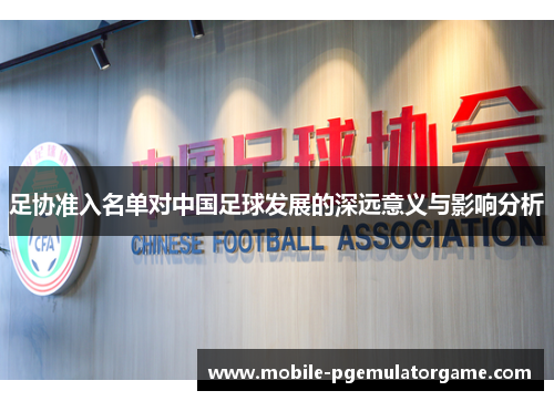 足协准入名单对中国足球发展的深远意义与影响分析