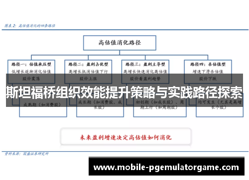 斯坦福桥组织效能提升策略与实践路径探索
