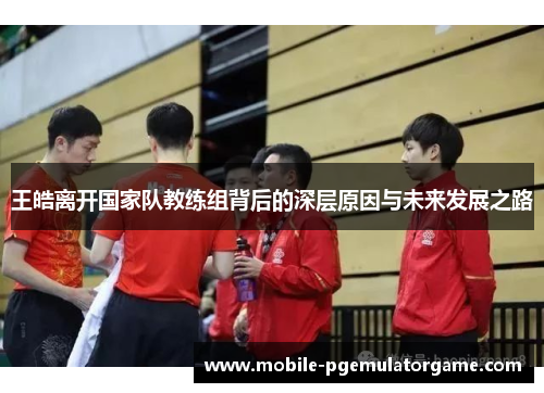 王皓离开国家队教练组背后的深层原因与未来发展之路