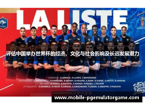 评估中国举办世界杯的经济、文化与社会影响及长远发展潜力