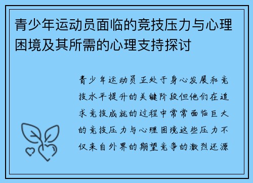 青少年运动员面临的竞技压力与心理困境及其所需的心理支持探讨