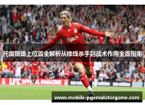 托雷斯场上位置全解析从锋线杀手到战术作用全面指南