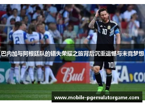 巴内加与阿根廷队的错失荣耀之旅背后沉重遗憾与未竟梦想