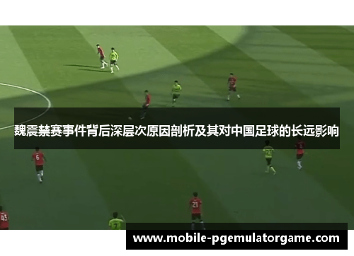 魏震禁赛事件背后深层次原因剖析及其对中国足球的长远影响