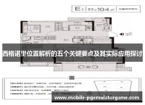 西格诺里位置解析的五个关键要点及其实际应用探讨