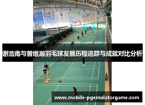 谢浩南与曾维瀚羽毛球发展历程追踪与成就对比分析 谢浩南与曾维瀚羽毛球发展历程追踪与成就对比分析
