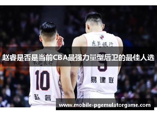 赵睿是否是当前CBA最强力量型后卫的最佳人选