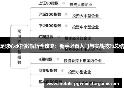 足球心水指数解析全攻略：新手必看入门与实战技巧总结