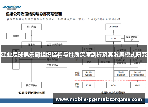 建业足球俱乐部组织结构与性质深度剖析及其发展模式研究