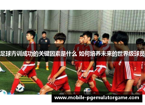 足球青训成功的关键因素是什么 如何培养未来的世界级球员