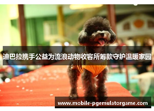 迪巴拉携手公益为流浪动物收容所筹款守护温暖家园 迪巴拉携手公益为流浪动物收容所筹款守护温暖家园