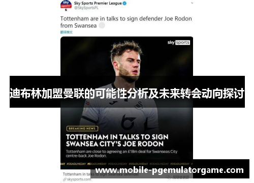 迪布林加盟曼联的可能性分析及未来转会动向探讨