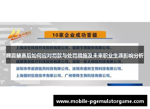 魏震禁赛后如何应对罚款与处罚措施及未来职业生涯影响分析