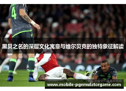 黑贝之名的深层文化寓意与维尔贝克的独特象征解读 黑贝之名的深层文化寓意与维尔贝克的独特象征解读