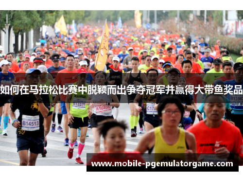 如何在马拉松比赛中脱颖而出争夺冠军并赢得大带鱼奖品