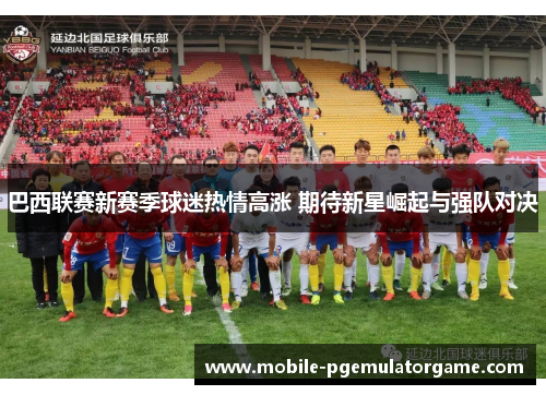 巴西联赛新赛季球迷热情高涨 期待新星崛起与强队对决