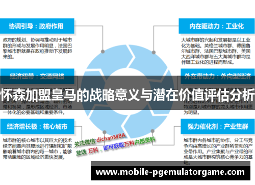 怀森加盟皇马的战略意义与潜在价值评估分析