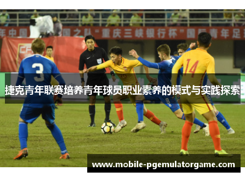 捷克青年联赛培养青年球员职业素养的模式与实践探索