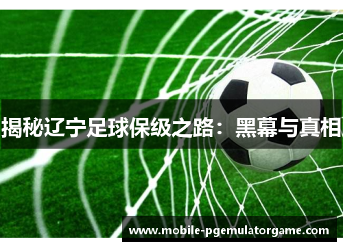 揭秘辽宁足球保级之路：黑幕与真相