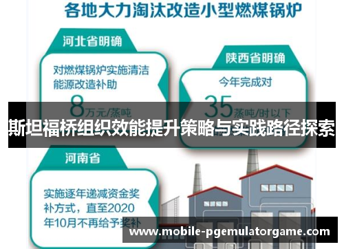 斯坦福桥组织效能提升策略与实践路径探索