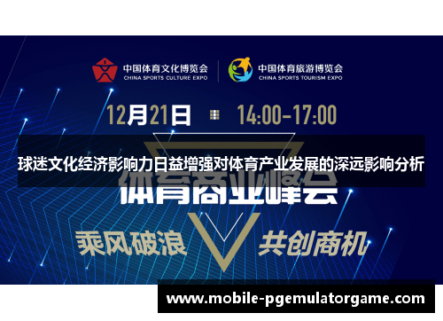球迷文化经济影响力日益增强对体育产业发展的深远影响分析