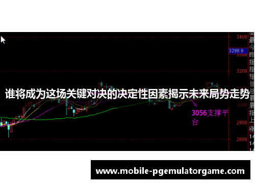 谁将成为这场关键对决的决定性因素揭示未来局势走势