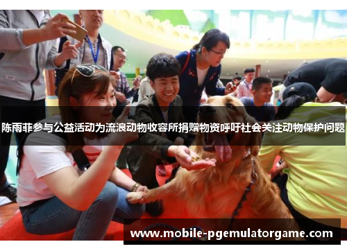 陈雨菲参与公益活动为流浪动物收容所捐赠物资呼吁社会关注动物保护问题