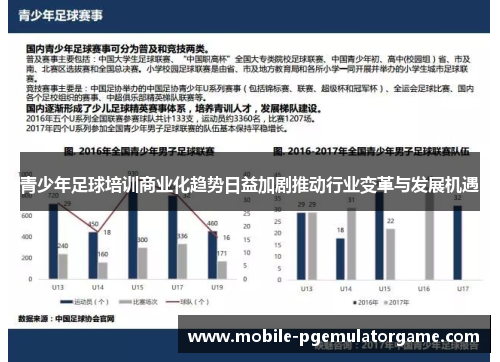 青少年足球培训商业化趋势日益加剧推动行业变革与发展机遇