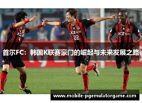 首尔FC：韩国K联赛豪门的崛起与未来发展之路